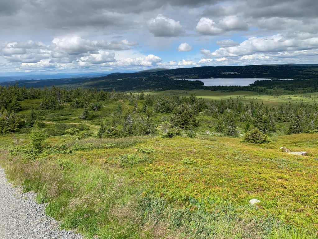 Referater fra årsmøte og&nbsp;medlemsmøte